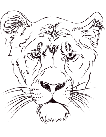 Lioness Head Coloring Page